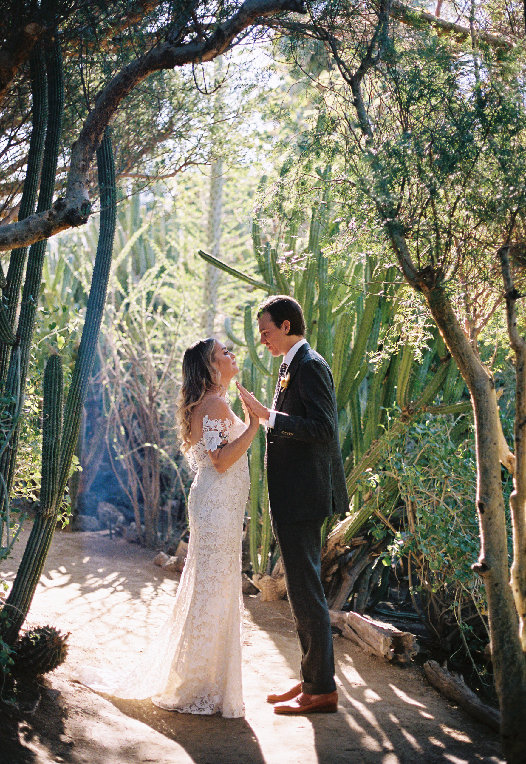 Film photo of couple standing together amongst backlit cacti at the Moorten Botanical Garden. Documentary Wedding Photography at The Ace Hotel Palm Springs by Shelley & Portugal. Capturing real moments for couples in California & beyond.